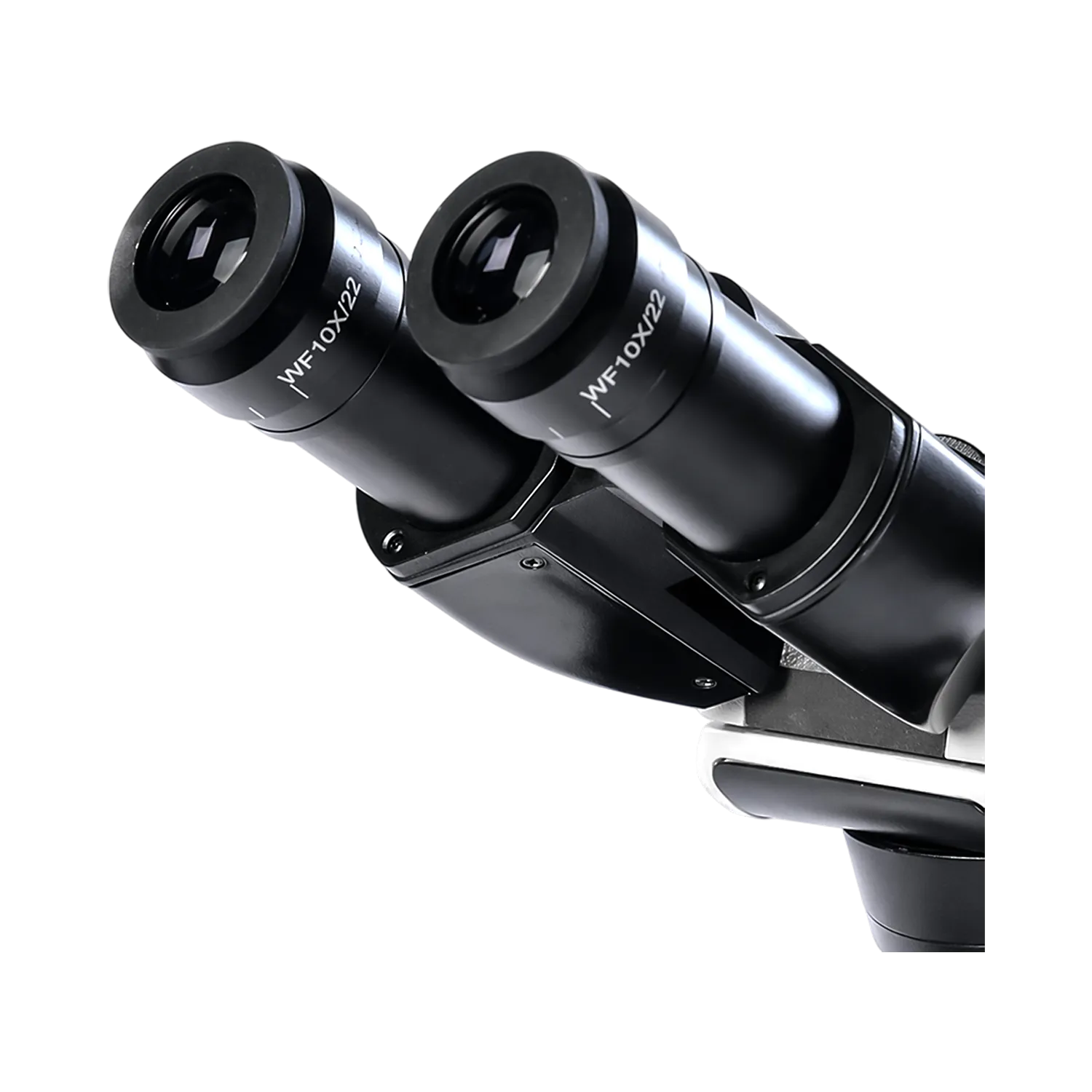 Biological Microscope LZ-BM-A125 image 4