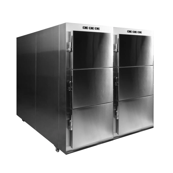 Mortuary Freezer LZ-MRF-A101
