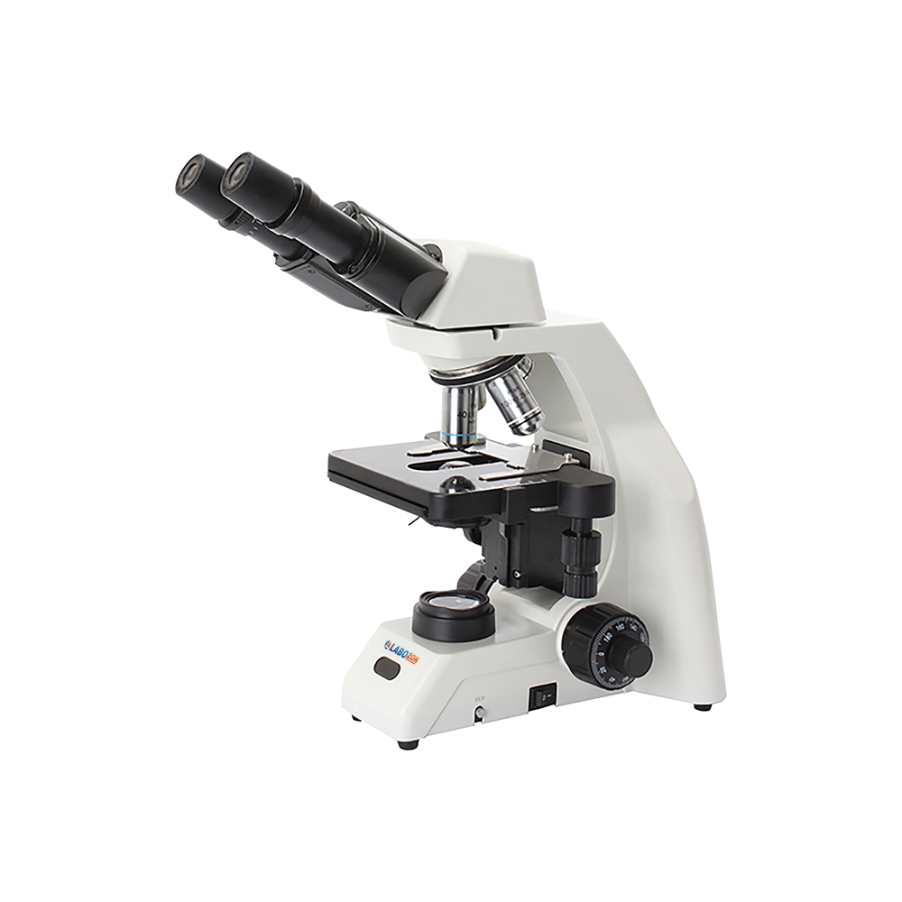 Catalog Original image