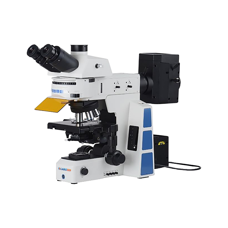 Catalog Original image