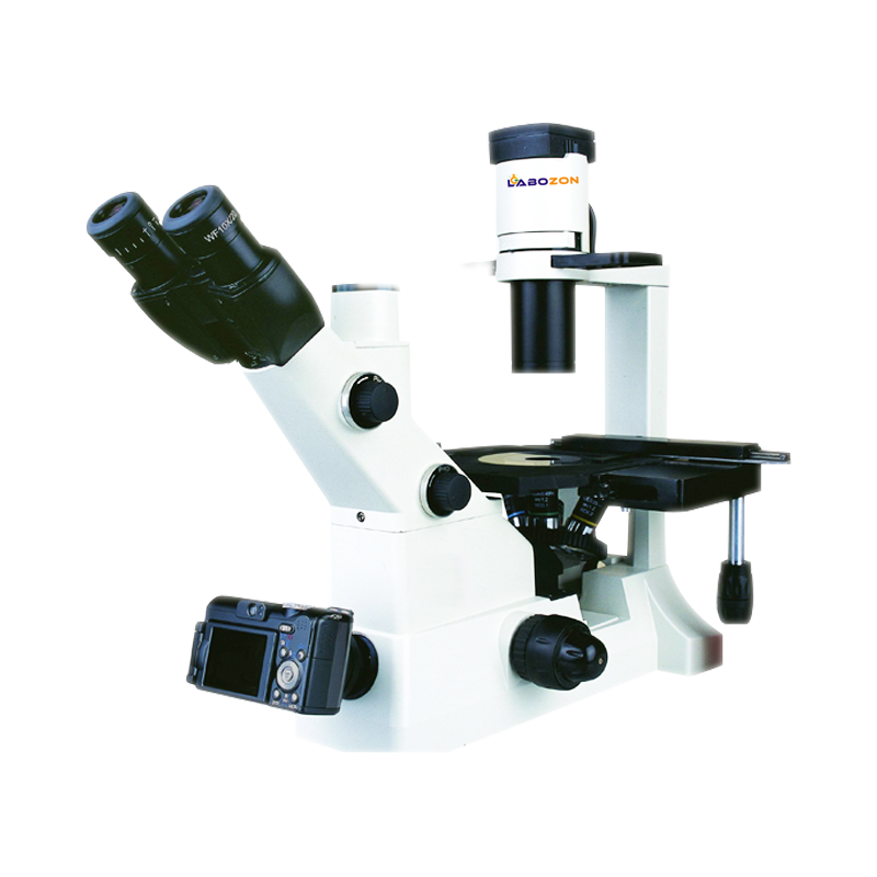 Catalog Original image